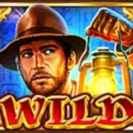 royal-circle-club-book-of-gold-slot-features-wild-royalcc1